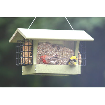 Medium Hopper Bird Feeder with Suet Cages in Green Recycled Plastic