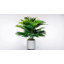 Palmier artificiel en pot 16 po Areca-33390917