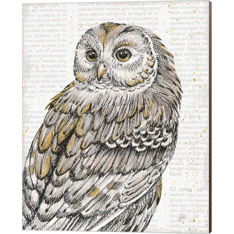 «Beautiful Owls III» par Daphne Brissonnet, art mural sur toile, Toile tendue, H 20 po x l 16 po x P 0,75 po