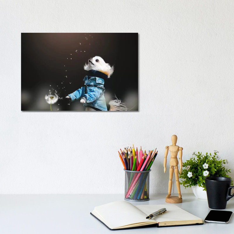 Fluffy by Lienjp - Wrapped Canvas Print, 20.32 cm H x 30.48 cm W
