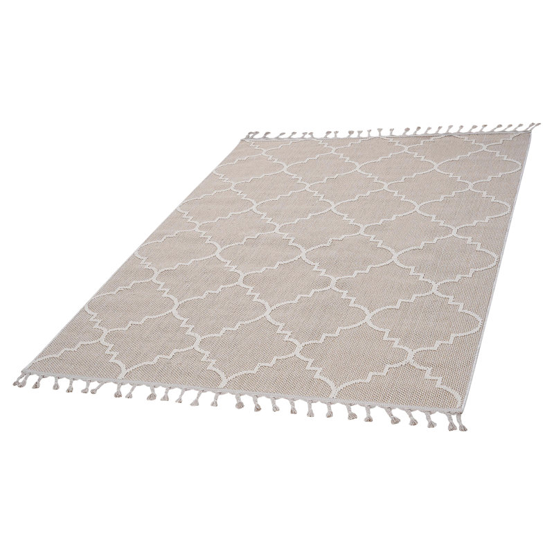 Collection Trellis Indoor/Outdoor Area Rug, Rectangle 5'3" x 7'6"