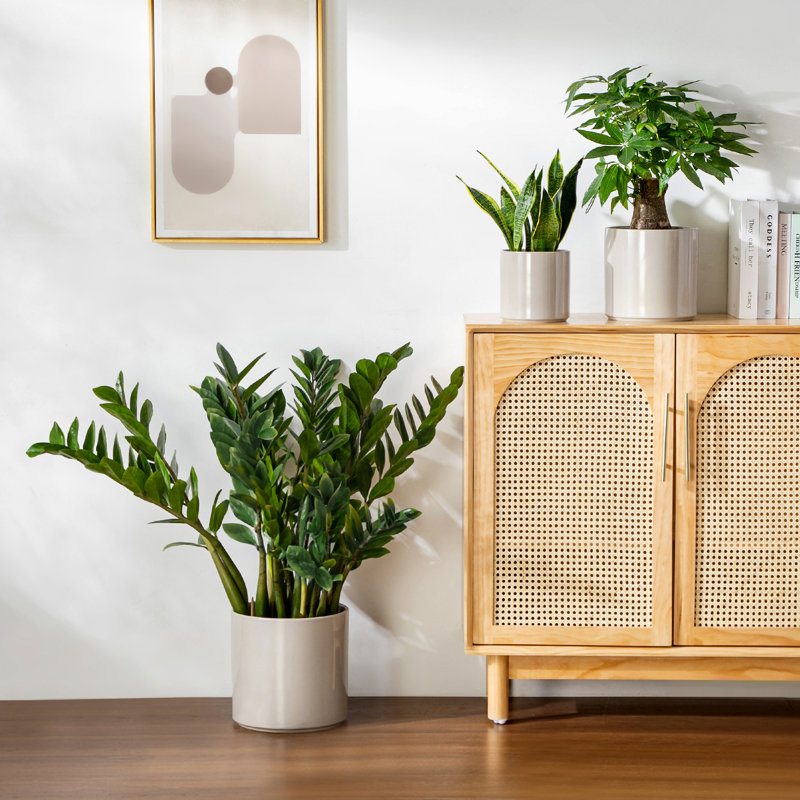 Ceramic Pot Planter
