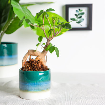 Nicola Spring - Reactive Glaze Plant Pot