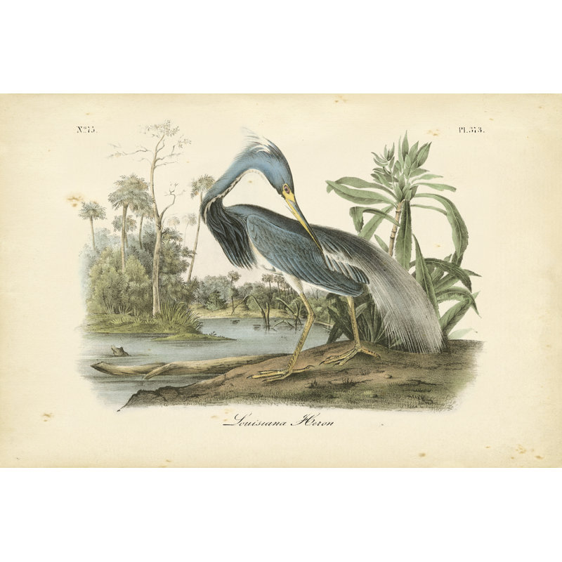 Louisiana Heron, peinture sur toile, H 32 po x l 48 po