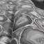 Chelchowska Pepper Collection Glass Bead Finish Geometric Filo Stone 10.05m x 70cm Wallpaper Roll-760095357