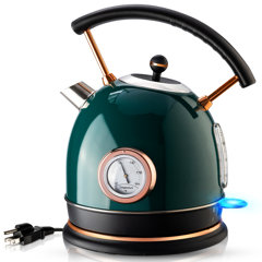 Electric Kettle, Talafa 1.7L / 1500W Electric Tea Kettles for Boiling  Water, Stainless Steel Hot Water Boiler with Thermometer, Auto Shut-off 