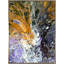 Refreshing Deluge Print-496564317