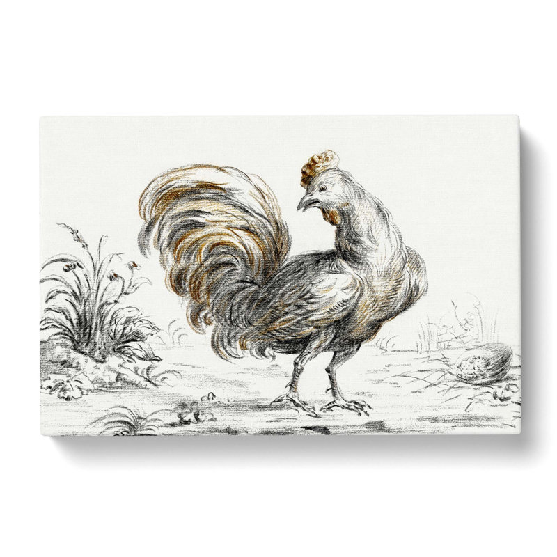 Rooster by Jean Bernard - Wrapped Canvas, 40cm H x 60cm W x 3cm D