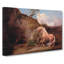 Horse Frightened by George Stubbs - Wrapped Canvas Painting-61852349