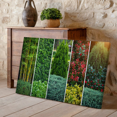 Toile, création d'une scène de jardin vibrante mettant en vedette un tableau luxuriant de dix plantes distinctes pouvant servir de clôture naturelle
