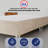 Alisander Upholstered Platform Bed-839743141-839743146