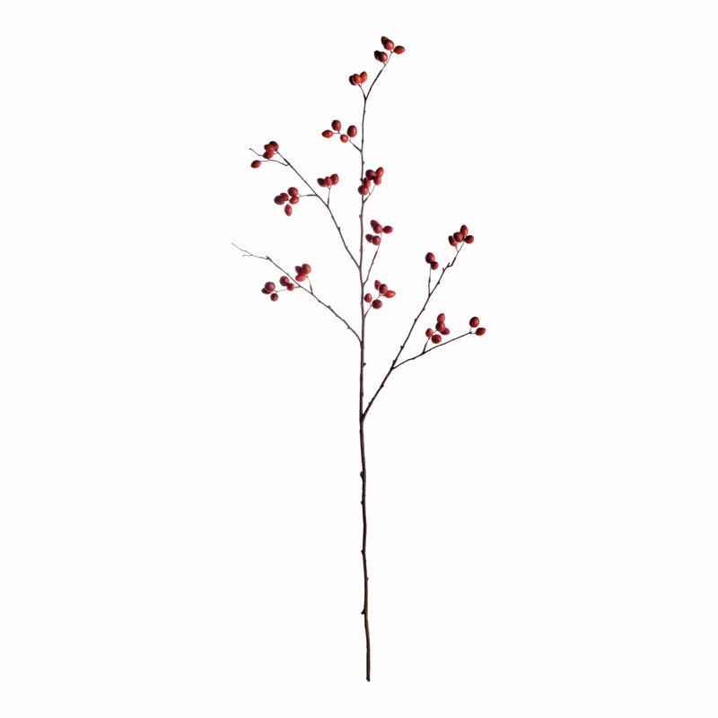 ROSEHIP BRANCH 43inch