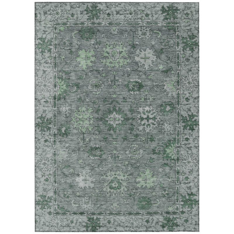 Machine Washable Indoor/Outdoor Xhevrie Aloe Rug, Rectangle 3' x 5'