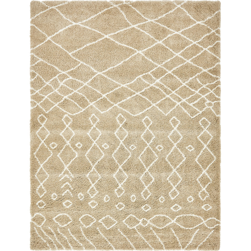 Southwestern Shag Area Rug