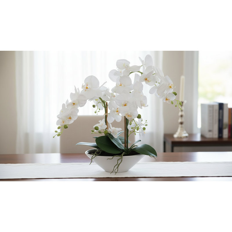 Phalaenopsis Orchid Floral Arrangement in Vase, White