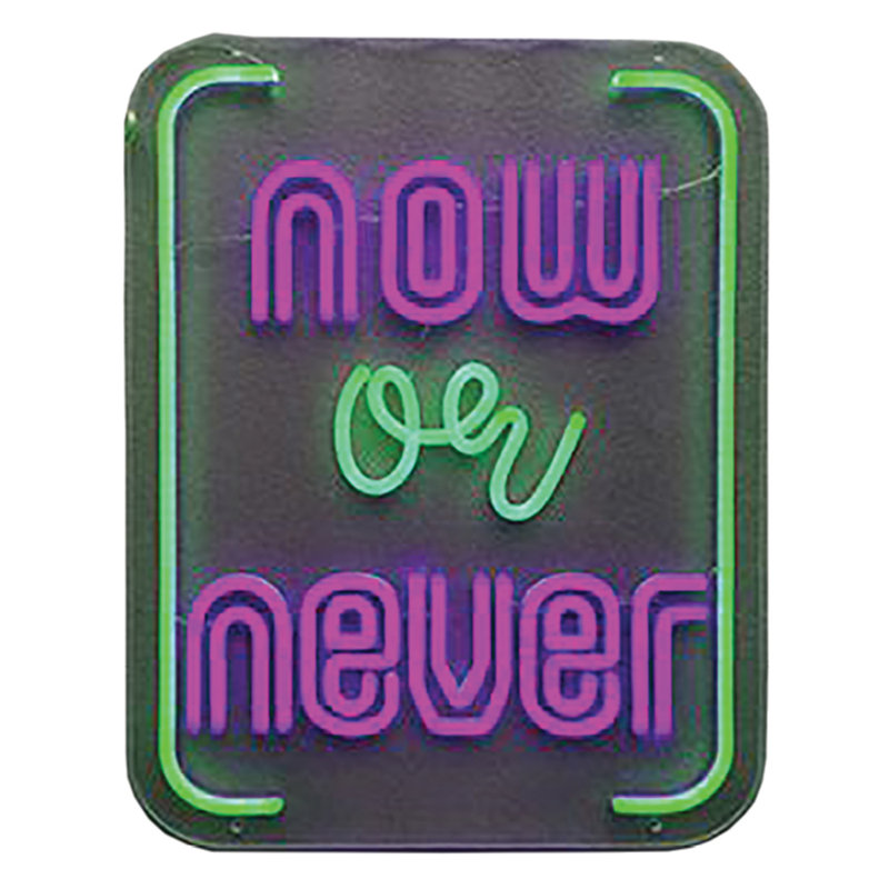 Now or Never Neon Sign - 14" x 18"