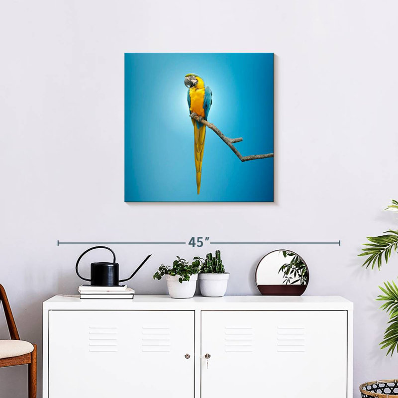 Crowle Macaw, 24" H x 24" W