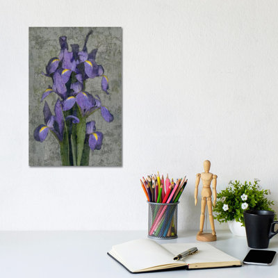 Iris by John Seba - Wrapped Canvas Print