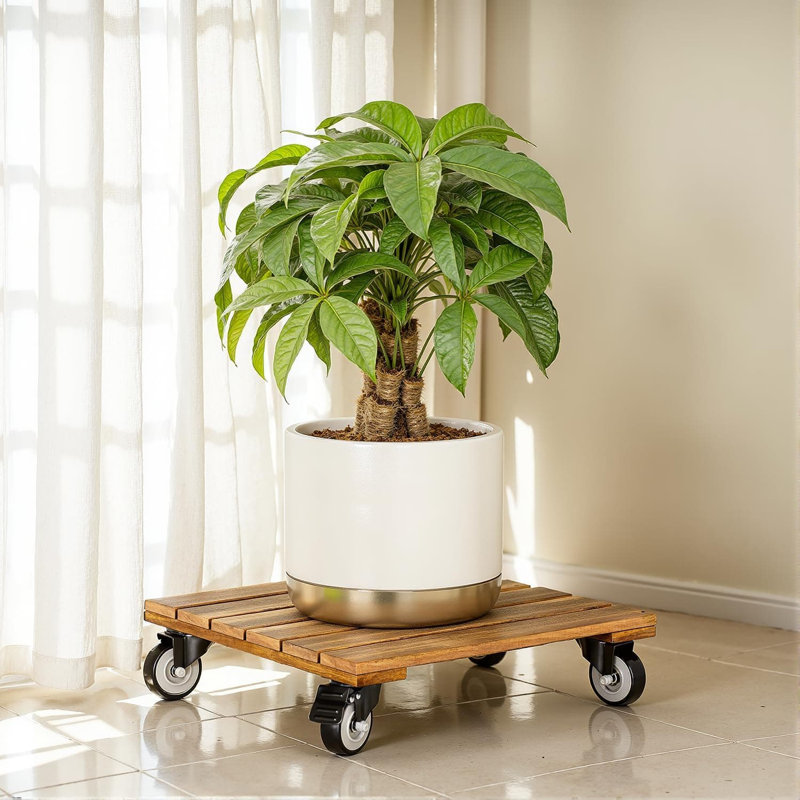 Plant Stand