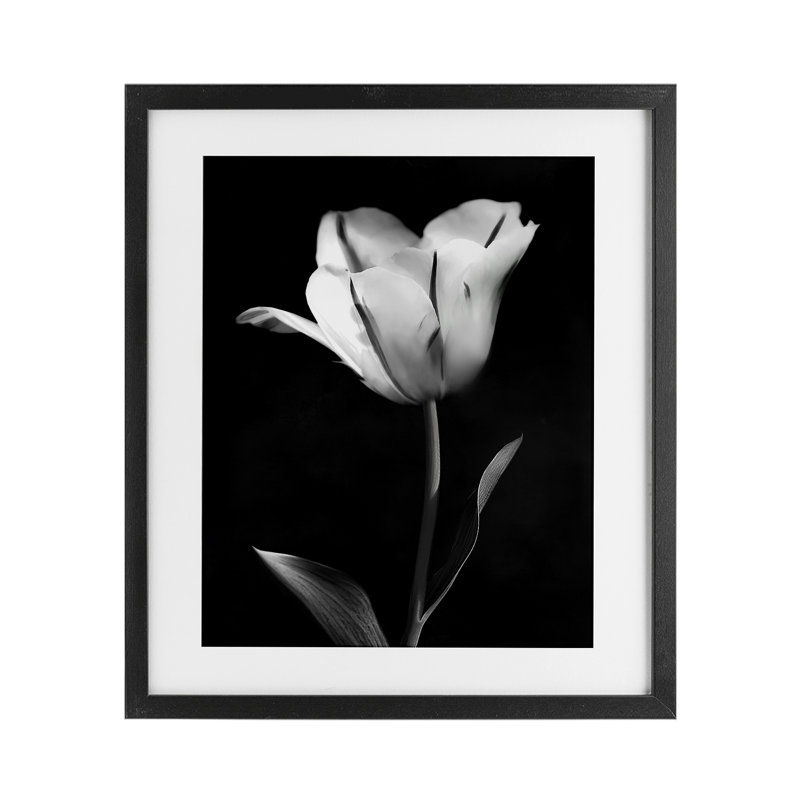 «Modern Tulip Stark Contrast», impression par CAD Designs, H 16 po x l 13 po, Cadre noir minuit