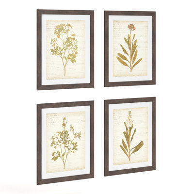 " Plants " 4 - Pieces
