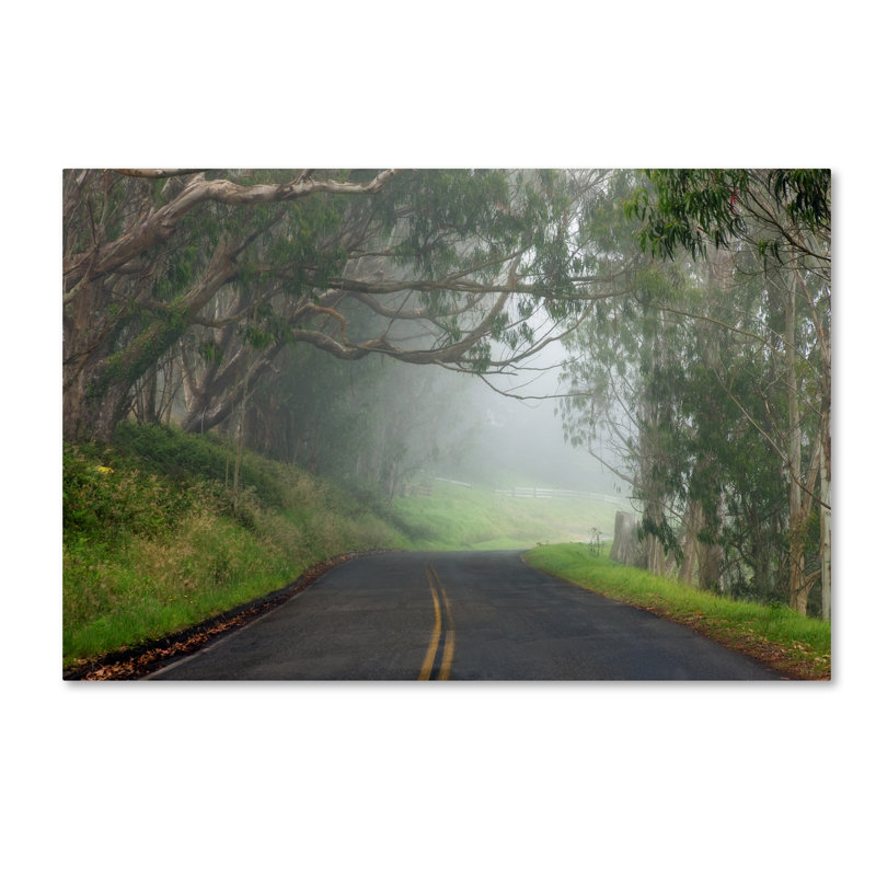 Foggy Road Landscape Canvas Print with Wooden Frame
