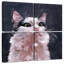 Brampt Kitty-109163819