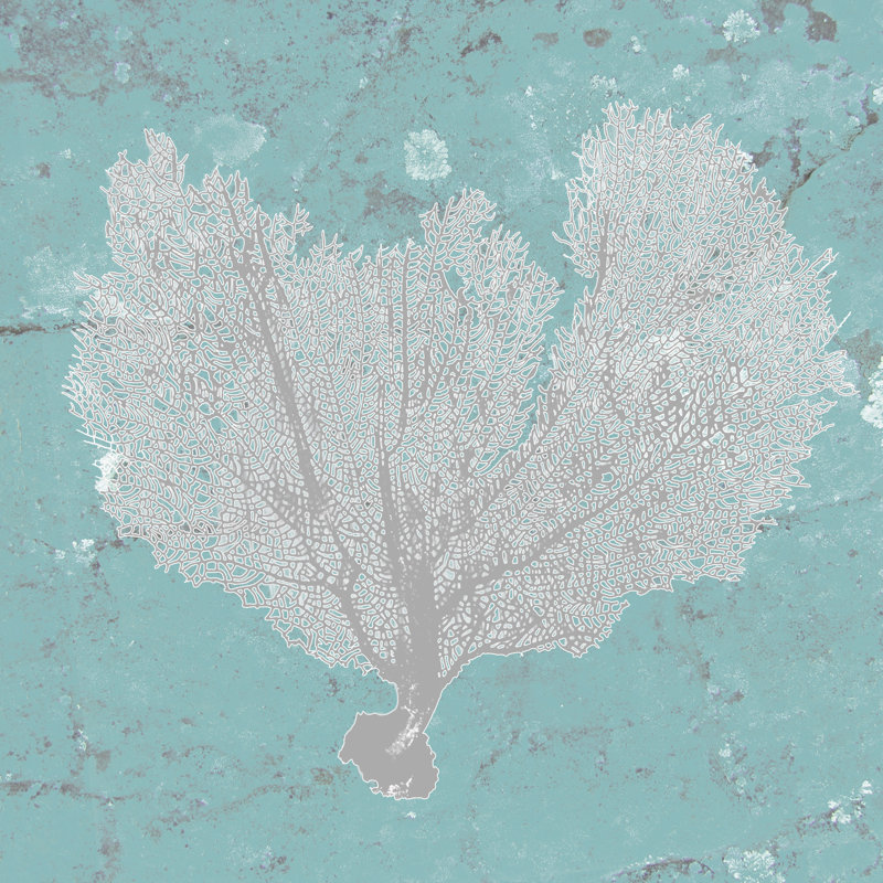 Graphic Sea Fan VI - Wrapped Canvas Print, 122cm H x 122cm W