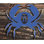 Décoration murale de forme simple en bois rustique tropical crab