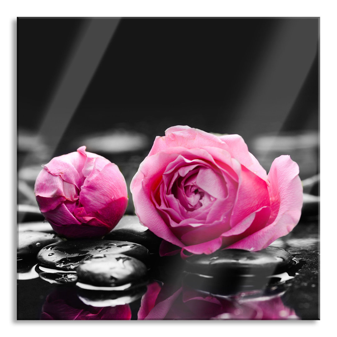 Glasbild Pink Rose Blossoms on Zen Stones