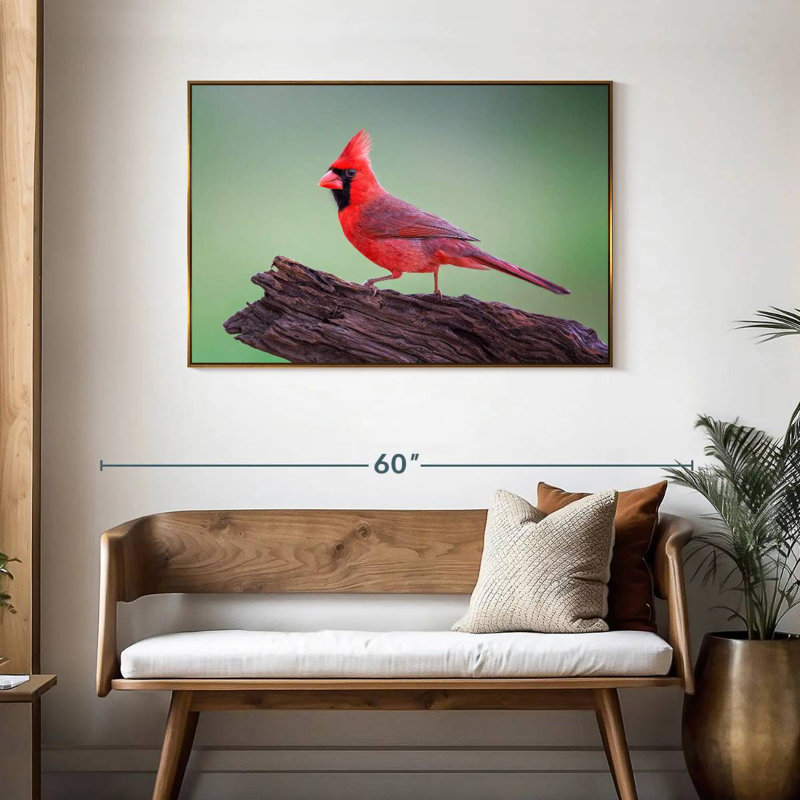 Cardinal On Wood, Floating Frame Gold, 43" X 29"