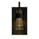 Erlenmeyer 1-Light Armed Sconce
