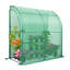 39.4" W x 78.7" D Lean-To Greenhouse-100556275