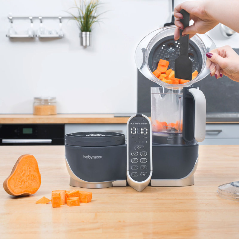 Industrial Grey Multi-Speed Baby Food Maker and Blender with 72-oz Capacity