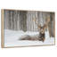 Wapiti recouvert de neige-333518777-333518770
