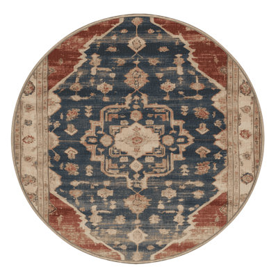 Machine Washable Overdyed Brown Area Rug