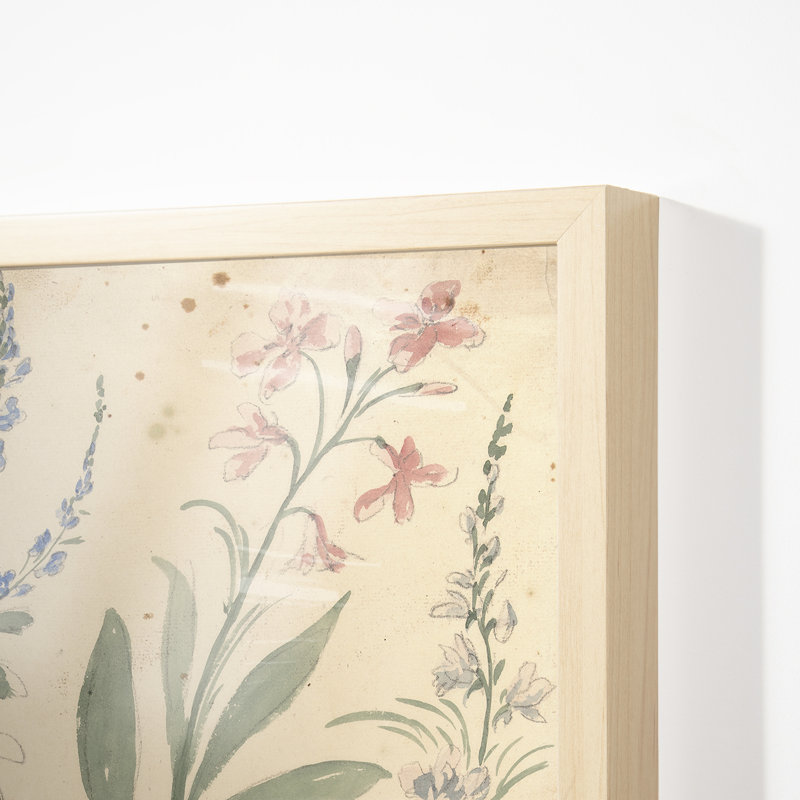 Four Studies Of Pink And Blue Flowers Print by Elias Van Nijmegen
