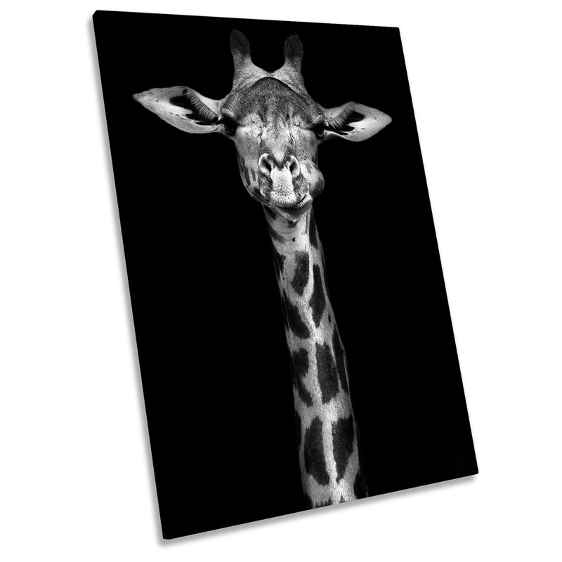Giraffe Face - Wrapped Canvas Print, 121.9cm H x 81.3cm W x 4cm D