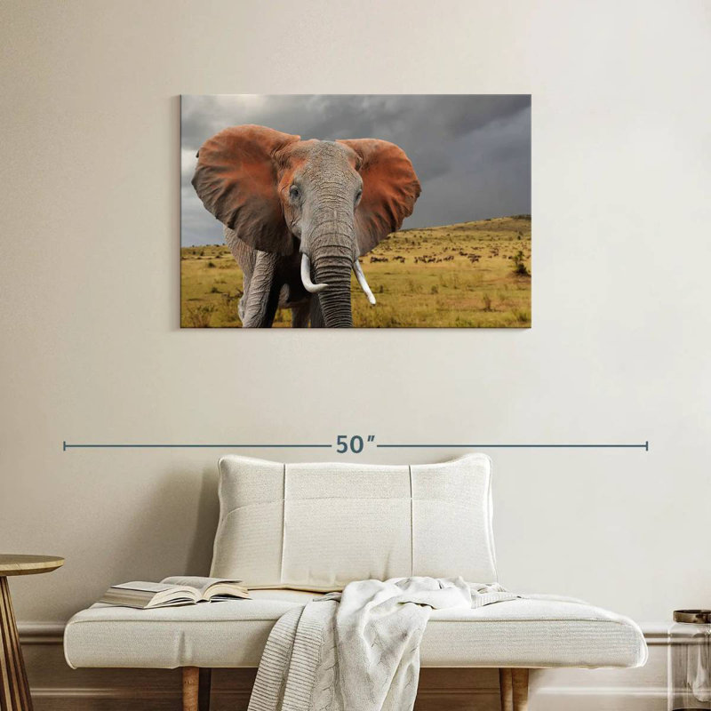 Éléphant d'Afrique Brampt, H 24 po x l 36 po