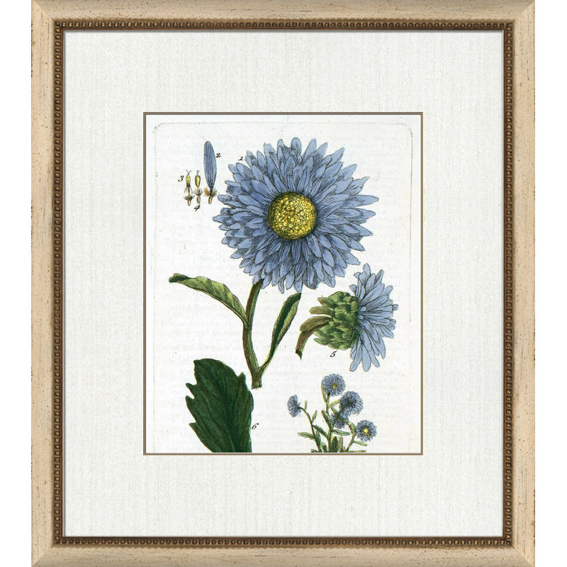 Botanical La Flore IV Painting