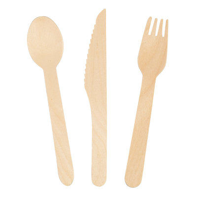 Disposable Flatware Set