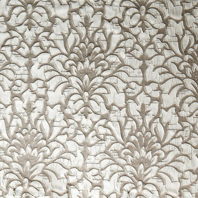 Spyglass Fabric