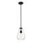Luminaire suspendu noir mat à 1 lumière Placia