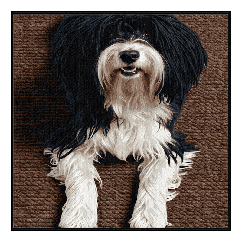  Tapis lavable Puli Dogs, Rectangulaire 2 pi x 3 pi