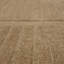 Karastan Rugs Terra Firma Barley Area Rug-2017552025