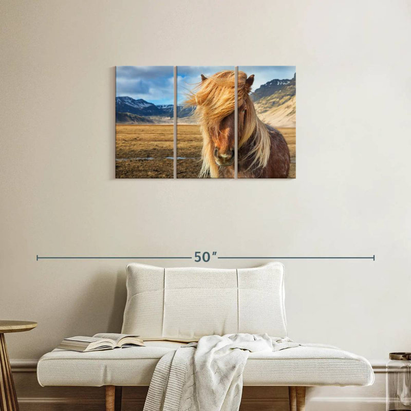 Brampt superbe cheval Islandais, 20" H x 33" W