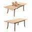 Loehr Outdoor 11 - Piece Teak Dining Set-1829138031-1829138034
