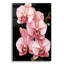Orchidées roses sur fond noir »par Momart, verre acrylique, art mural-299773257