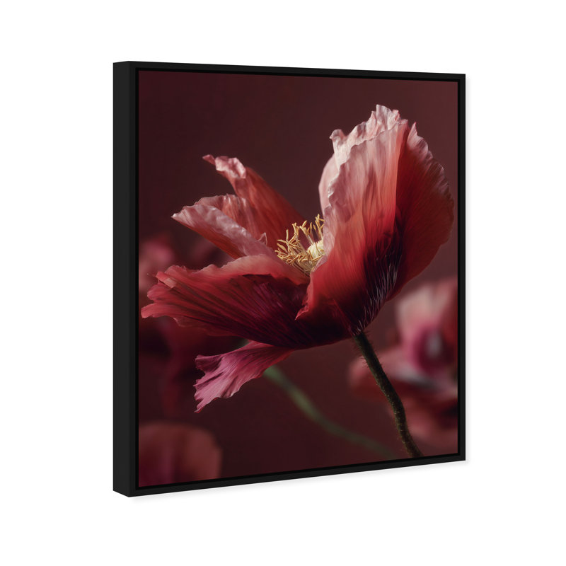 Merlot Blush Blossom II Print by Oliver Gal, 21"H x 25"W, Black Floater Frame