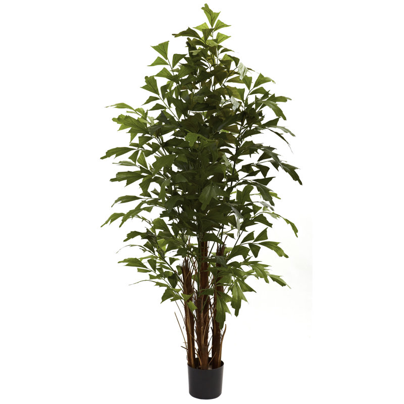 Arbre à palmier en pot 1 66,25 po